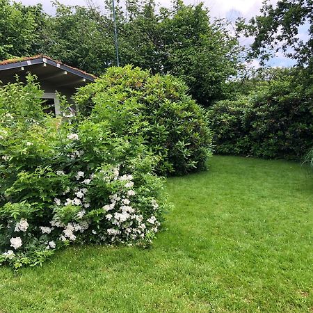 Gartenblick 莱希林根 外观 照片