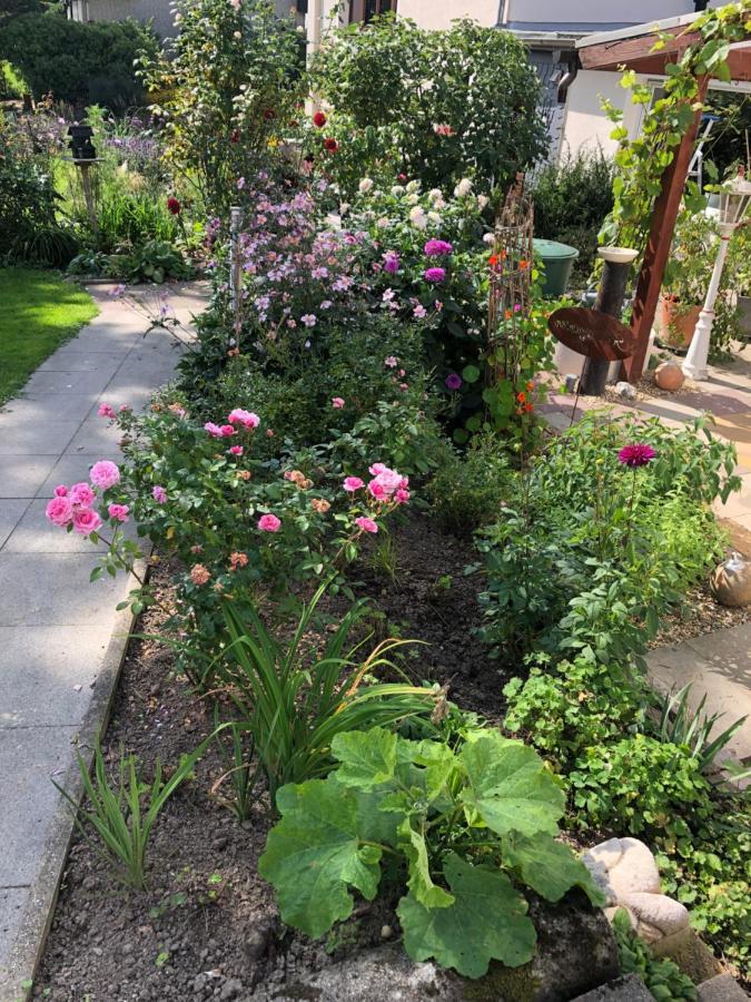 Gartenblick 莱希林根 外观 照片