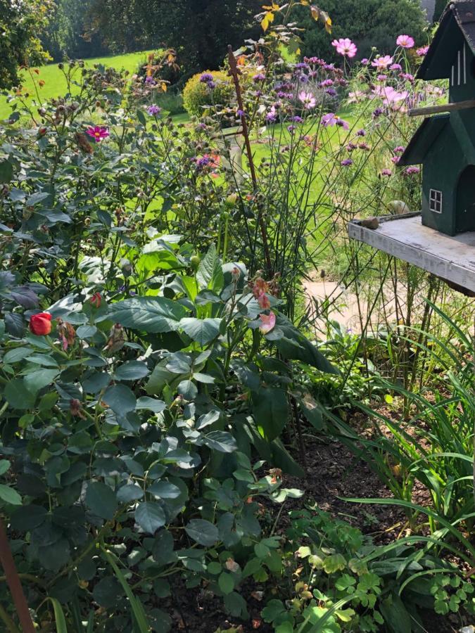 Gartenblick 莱希林根 外观 照片