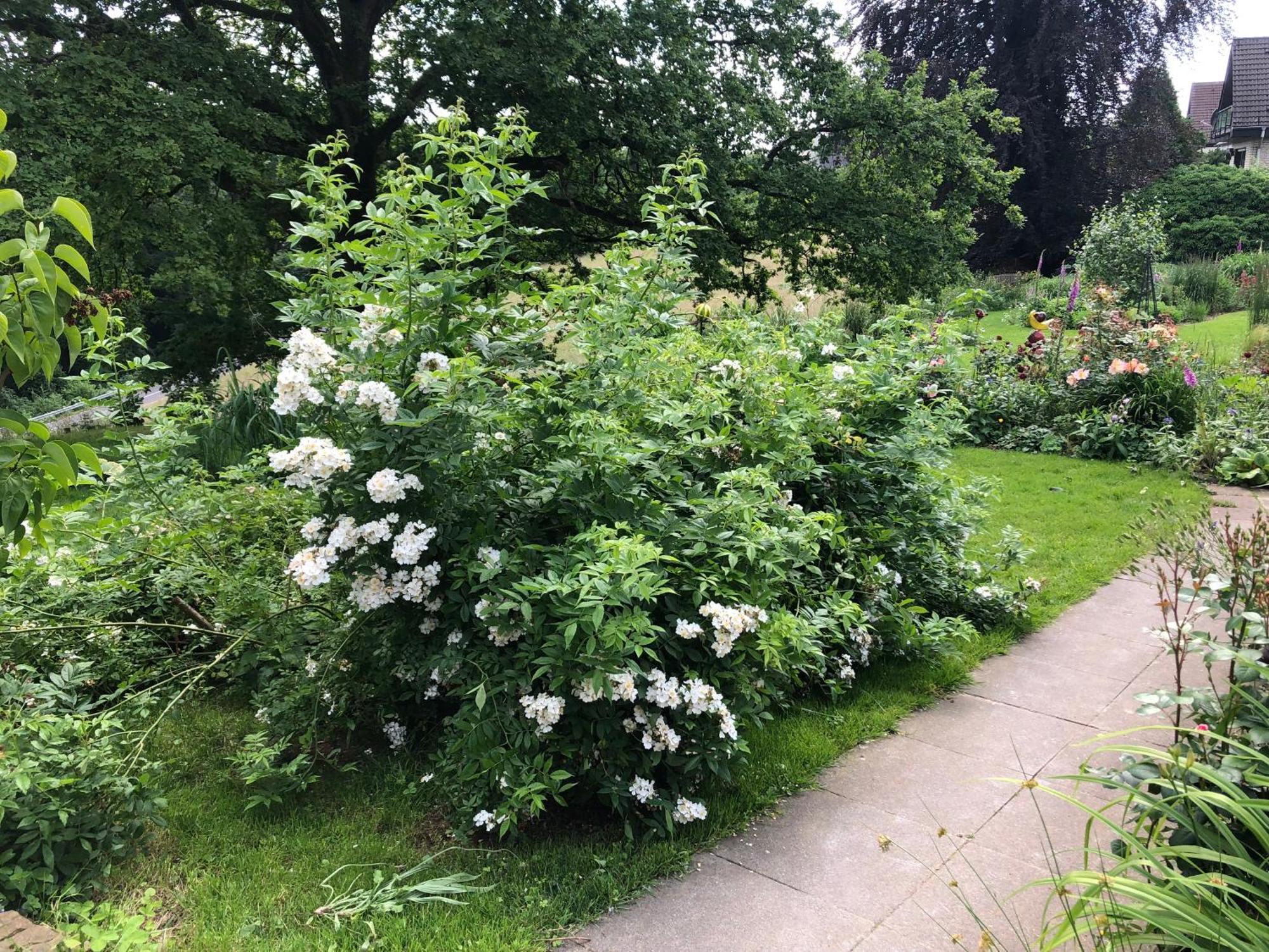 Gartenblick 莱希林根 外观 照片