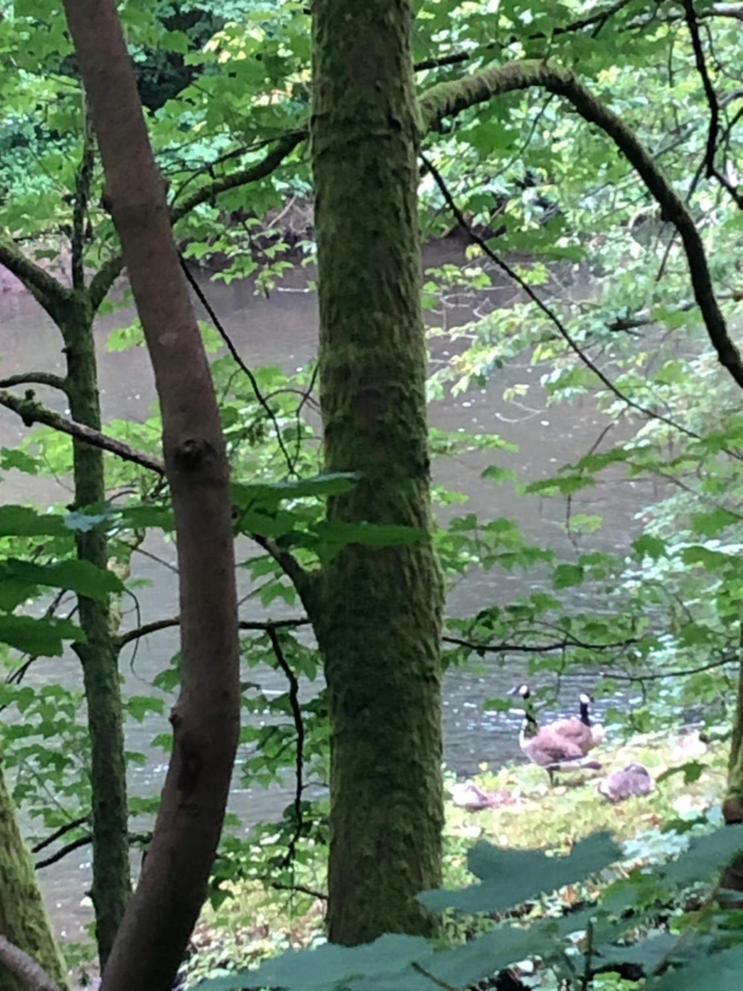 Gartenblick 莱希林根 外观 照片