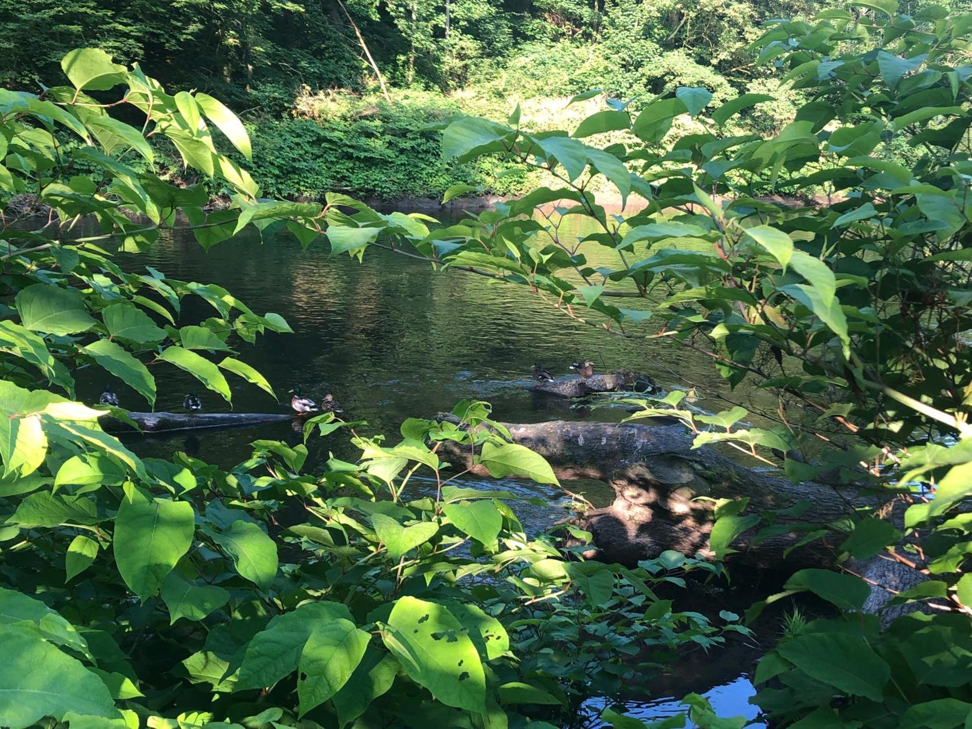 Gartenblick 莱希林根 外观 照片