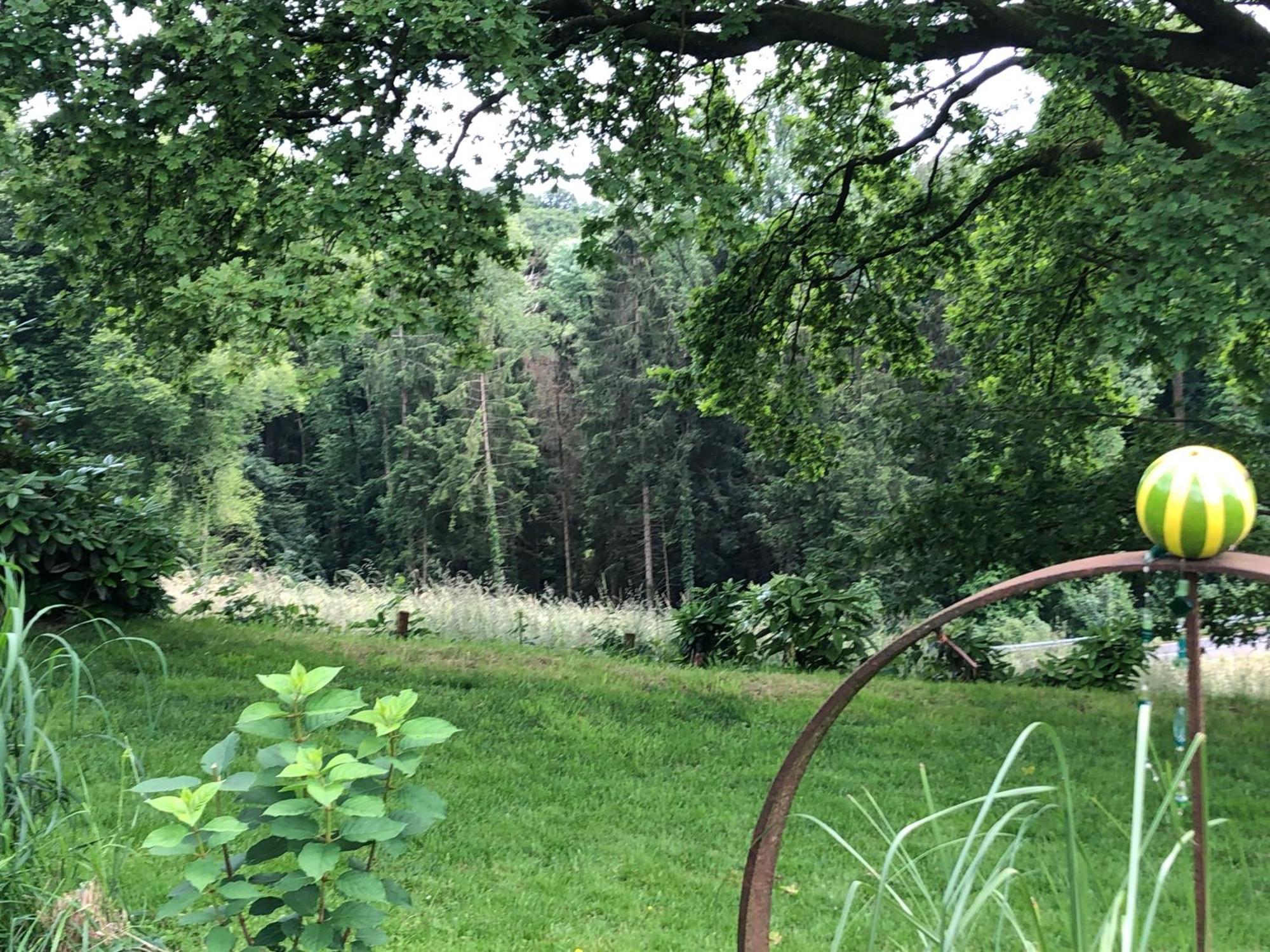 Gartenblick 莱希林根 外观 照片
